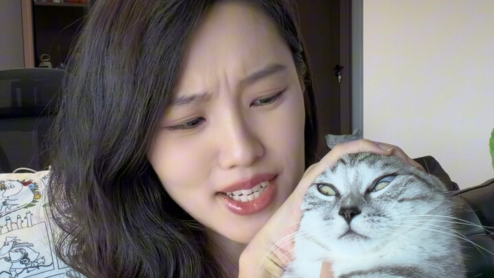 Kucing kecil memang begitu sempurna