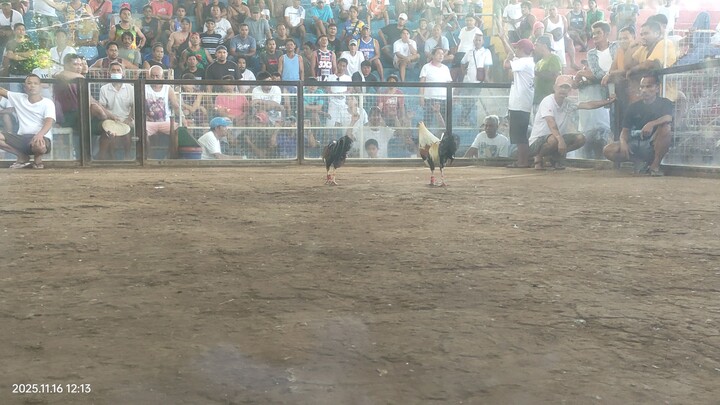 nov16 win hackfight limay mega cockpit. bataan