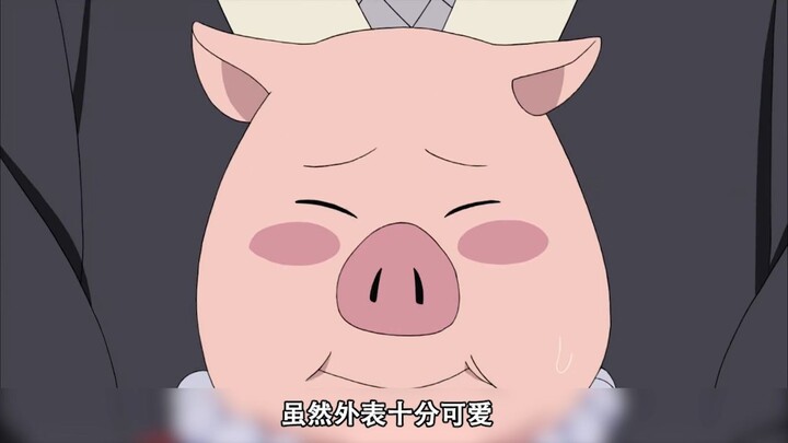 火影：豚豚是一只忍猪？