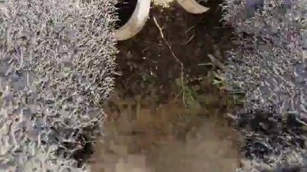 Năm đó tôi đút hai tay vào túi, khí thế khiến người khác không dám phản kháng.