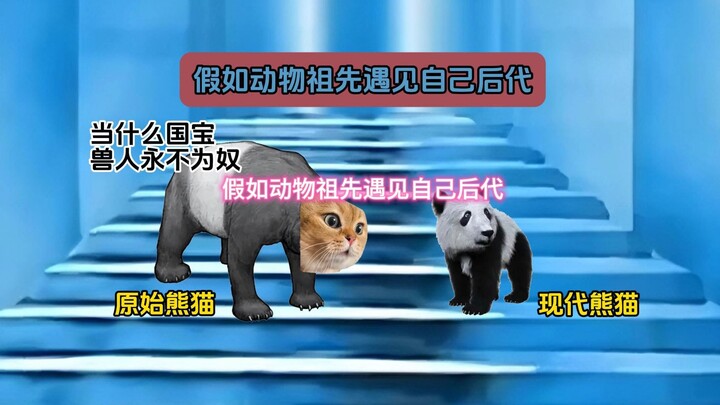 假如动物祖先遇见自己后代