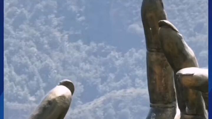 A woman musters the courage to climb a viral tourist attraction!