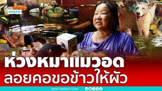 คุณป้าห่วงหมาแมวอดอยาก เกาะกะละมังลอยคอขอข้าวให้ผัว และสัตว์ได้กิน | เรื่องร้อนอมรินทร์