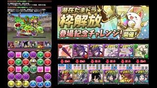 【パズドラ】「潜在たまドラ☆枠解放」登場記念チャレンジ！【初見】