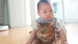 Mèo: Tui không thích chăm em bé mờ