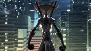 فيلم رسوم متحركة قصير عن فنون القتال "قطط الأزقة" رائع الصنع!