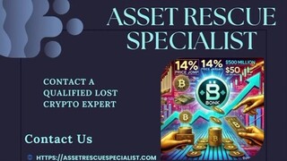 BEST BITCOIN RECOVERY EXPERTS FOR HIRE  ASSET RESCUE SPECIALIST