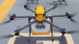 这是深圳的什么？