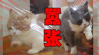 不是我瞎说，这个保鲜膜挑战我吹爆！