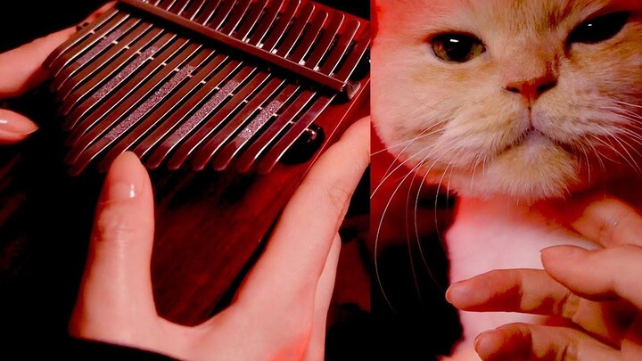 [Kalimba] Playing the Demon Slayer OP "The Song of Kamado Tanjiro" with a special appearance by cats