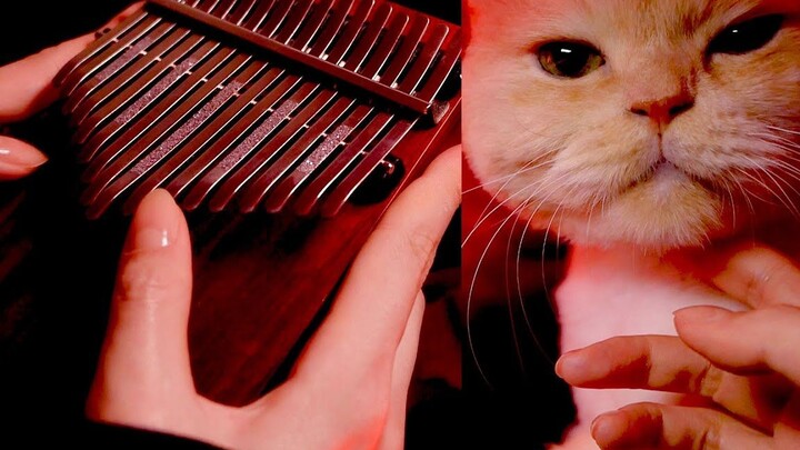 [Kalimba] Playing the Demon Slayer OP "The Song of Kamado Tanjiro" with a special appearance by cats