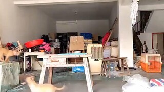 บางอย่างก็อย่าพูดดีกว่า