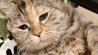 แค่แตะมัน อย่าให้กระป๋องฉันเลย