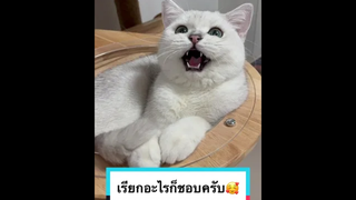 เรียกอะไรก็ตอบครับ 😆