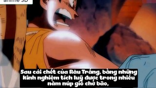 Top 7 Người Có Ý Chí Của D Trong One Piece p7