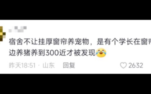 กฎโรงเรียนสุดแปลก