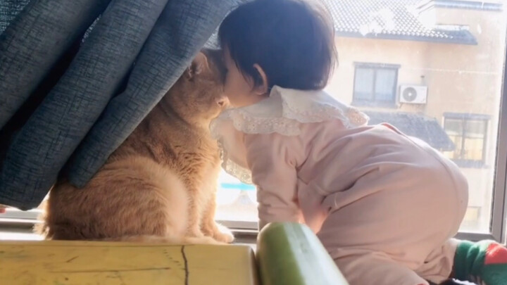 Kucing kecil itu dicium oleh bayi, ternyata malah jadi malu～