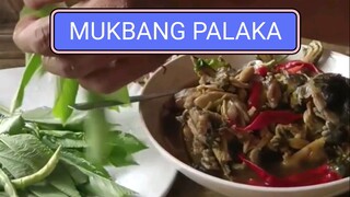 Mukbang palaka boy kilaw