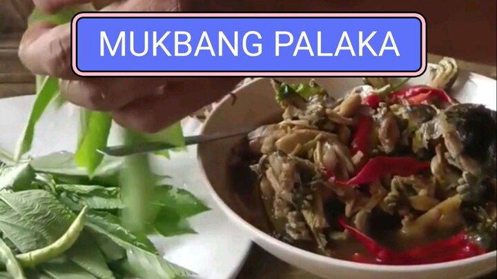 Mukbang palaka boy kilaw