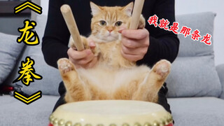 周杰伦听了要失业！橘猫《龙拳》