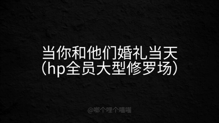 【hp乙女】当你和他们婚礼当天（全员大型修罗场）