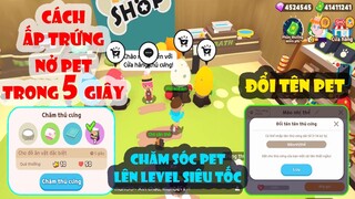 Play Together - Cách Ấp Trứng 5 Giây Nở Thành Pet Thú Cưng Hiếm và Hướng Dẫn Đổi Tên Thú Cưng