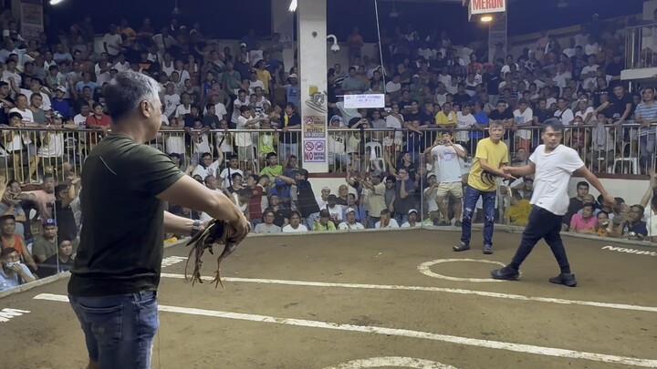 2nd fight loss 5stag derby orani coliseum 8-29-25