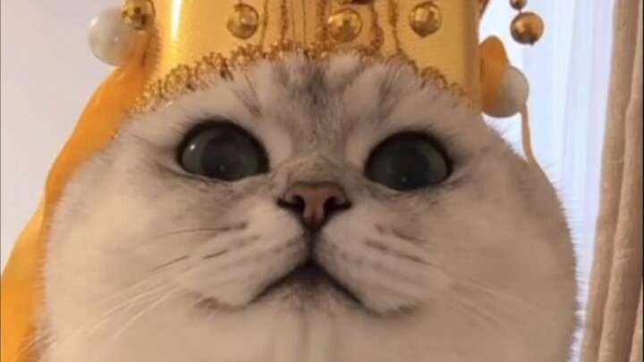 เฟินเอ๋อร์: ถึงเวลาแล้ว ข้าจะเลิกงานแล้ว