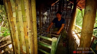 Kỹ Năng Sinh Tồn Giữa Rừng Mưa | Tự Tạo Ra chiếc Giường Bằng tre |Survival challenge
