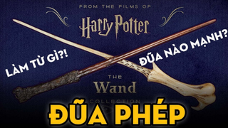 TẤT TẦN TẬT VỀ ĐŨA PHÉP - Wizarding World - Harry Potter Series | TenTickers