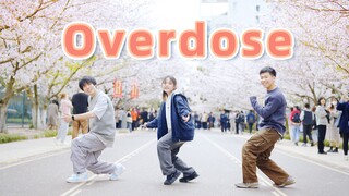 「Overdose」【黑糖梅×时空】