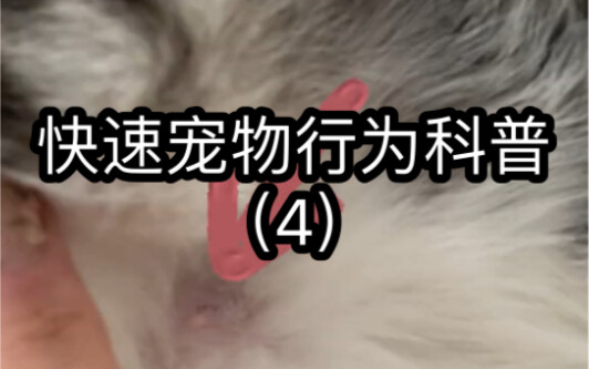 Sains Cepat tentang Perilaku Hewan Peliharaan 4