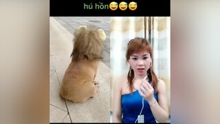 duet cùng  thì ra là ẻm🤣🤣🤣🤣chócute chó