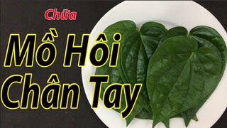 2 cách chữa dứt điểm ra mồ hôi tay chân ở trẻ em và cả người lớn tại nhà hiệu quả rất cao