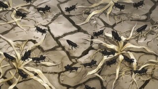 Đi TìM 48 PhẦn Cơ ThỂ - DoRoRo TậP 20 ThUyẾt MiNh