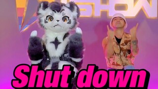 兽人速翻BLACKPINK新曲Shut down！！！