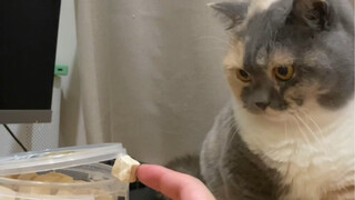 Who would have thought? She's a hilarious girl who shines brightly!