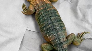 Nirvana Model: Silicone Peruvian Crocodile Lizard