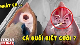 Sự Thật Gây Sốc Đằng Sau Những Hành Vi "Đáng Yêu" Của Động Vật | Top 10 thú vị khám phá