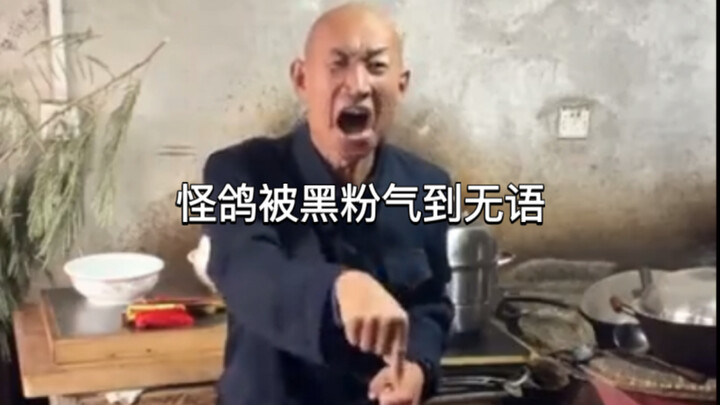 Penggemar jahat yang terbawa arus menjengkelkan merpati aneh yang berenang di musim dingin sampai-sa