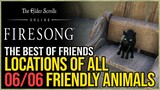 The Best of Friends Achievement ESO - All Friendly Animals