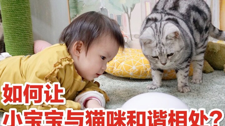 [First-Time Potty-Training Experience for Baby] How to Help Your Little One and the Cat Get Along Ni