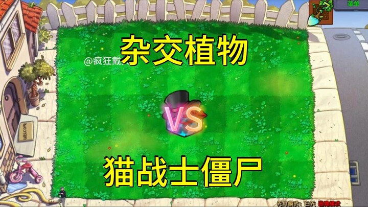 Episode 76 | Kotak Hadiah Misteri