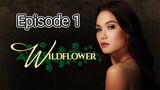 wildflower episode 1 full episodes // English sub//Philippines //