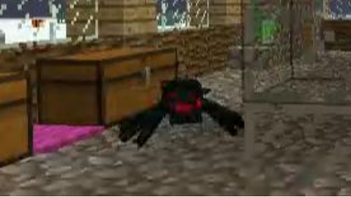 Jeremy the cave spider is spinning adorably!