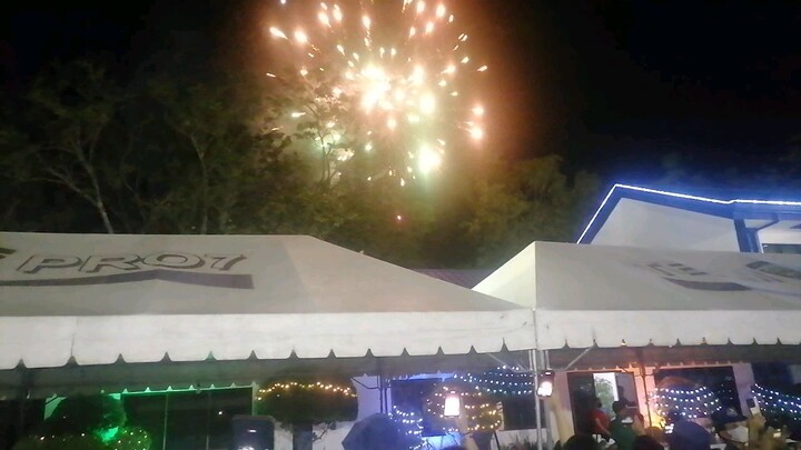 Firework display
