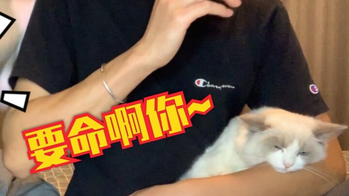 Comic couples | DL: Hot!! | Some people appear... but secretly...