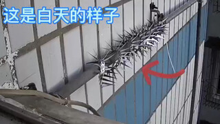 为了防止老鼠进来，真拼！