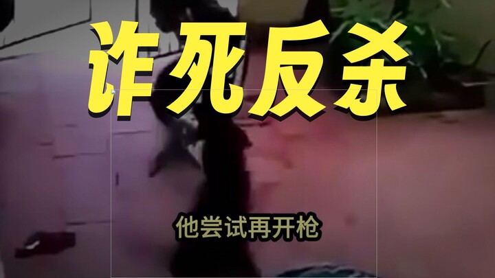 Chó con vừa trí tuệ vừa dũng mãnh