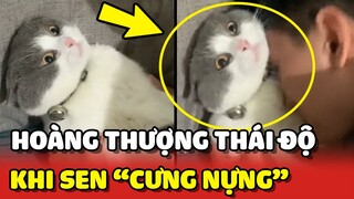 Hoàng Thượng tỏ THÁI ĐỘ với những trò CƯNG NỰNG QUÁ LỐ của Sen 😂 | Yêu Lu